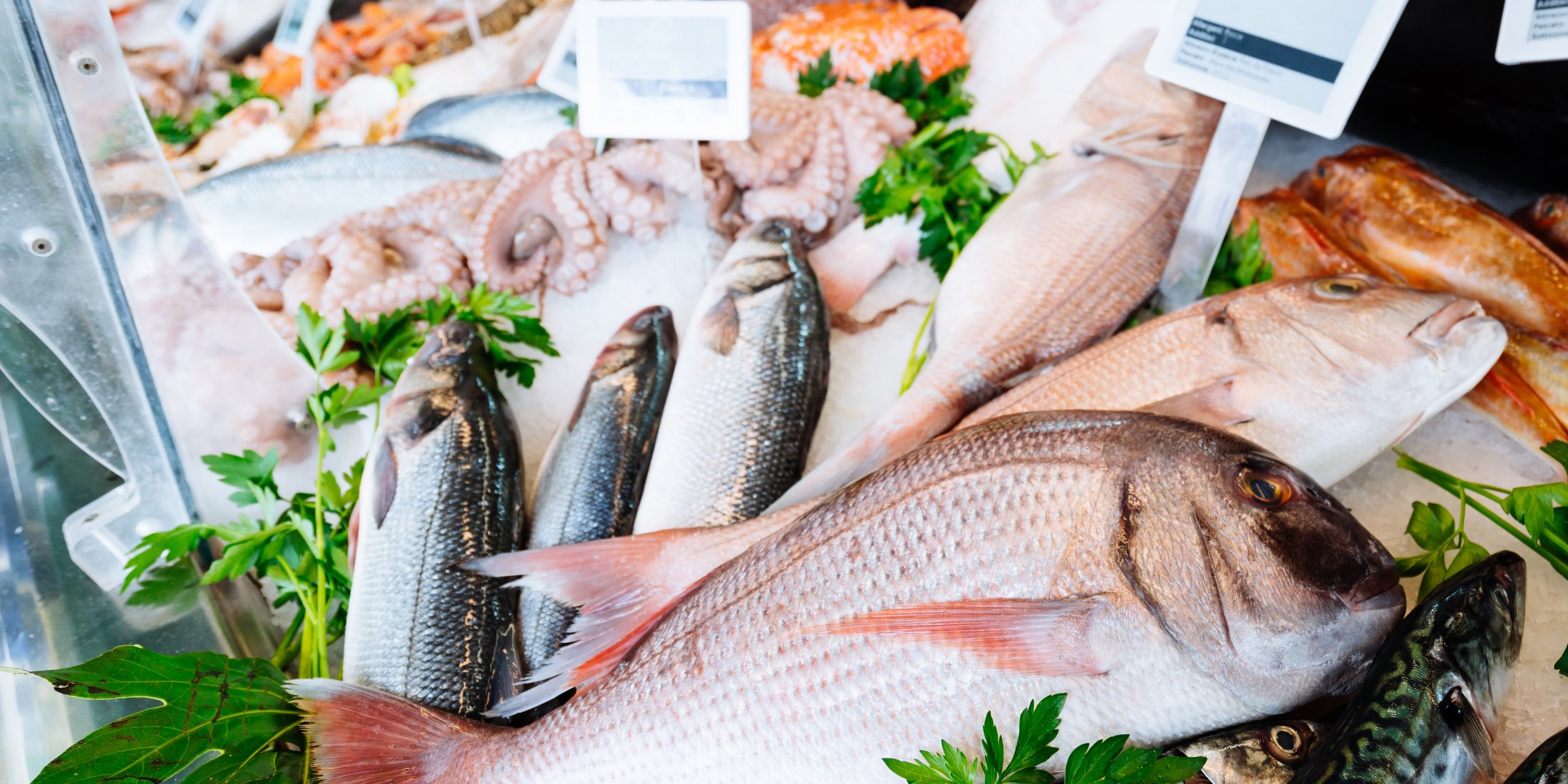 fisch