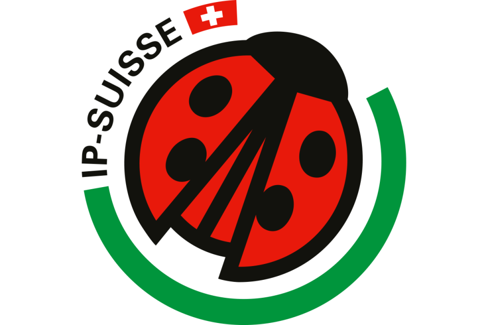ip suisse