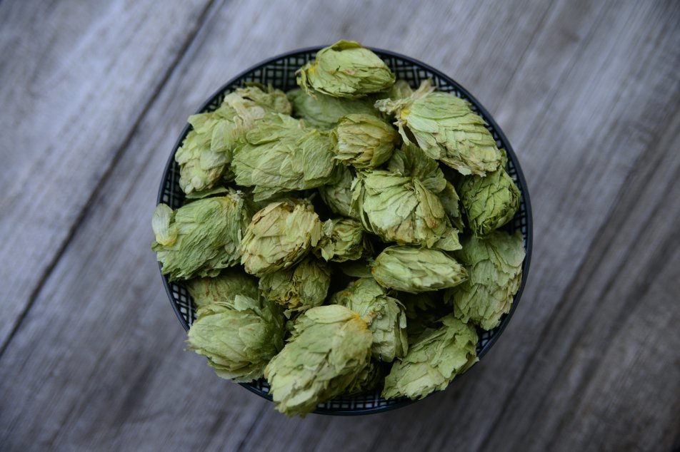 Hopfen