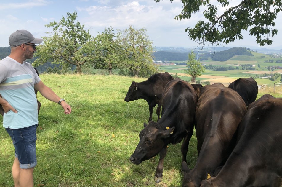 Pistor Kaiserliches Fleisch Zentralschweiz Wagyu Teaser