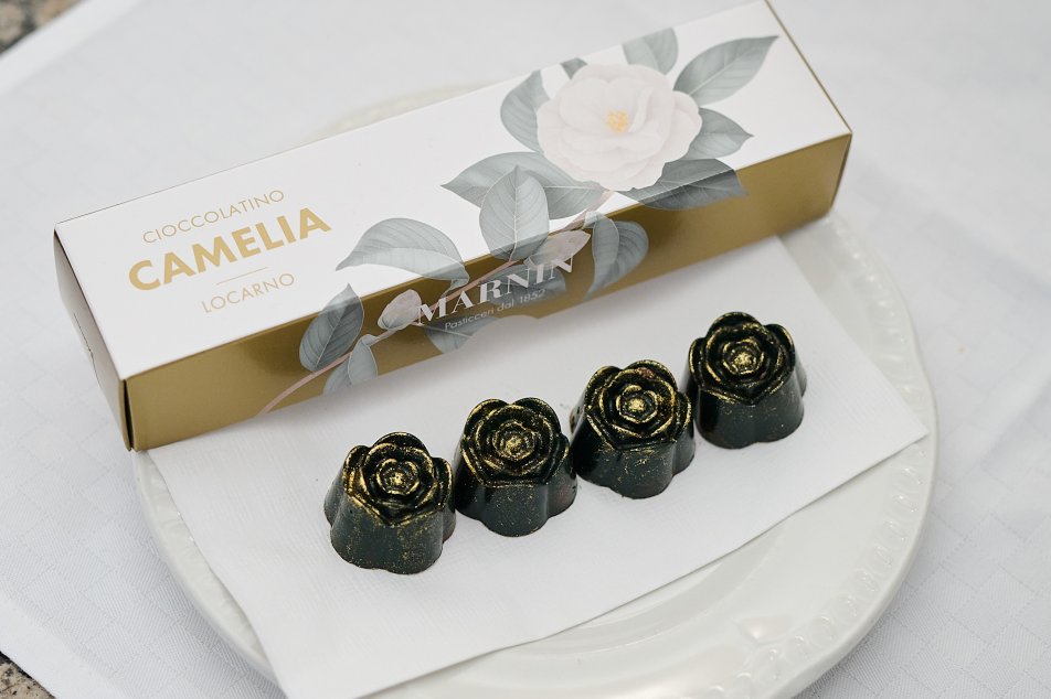 Blog zu Besuch Marnin Camelia Locarno