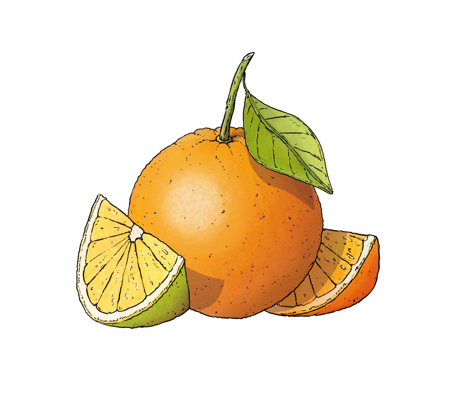 AmuseBouche_Orange