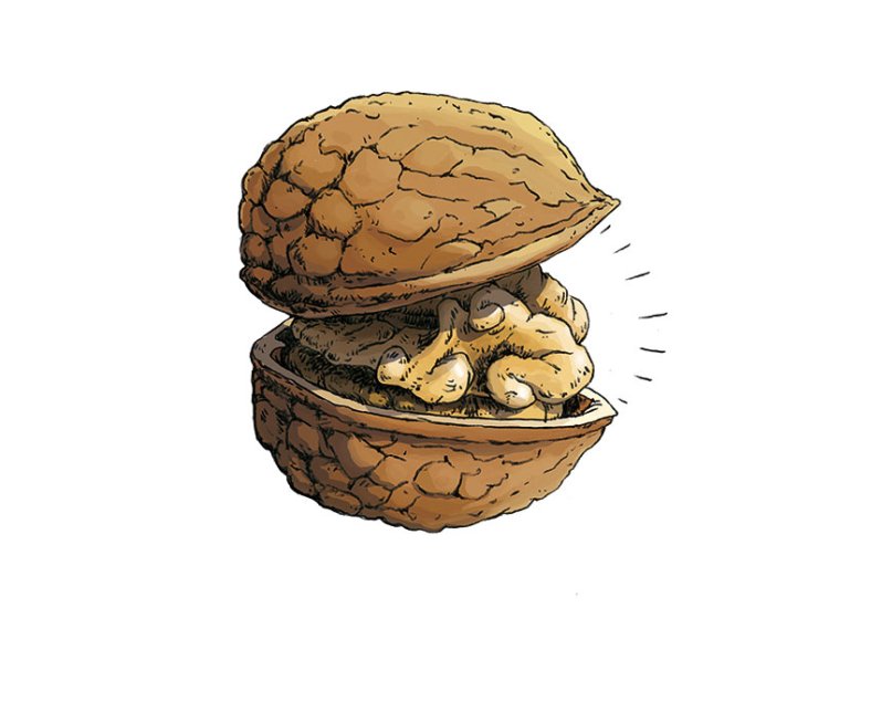 pistor-inspiration-amouse-bouche-walnuss