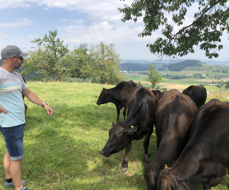 Pistor Kaiserliches Fleisch Zentralschweiz Wagyu Teaser