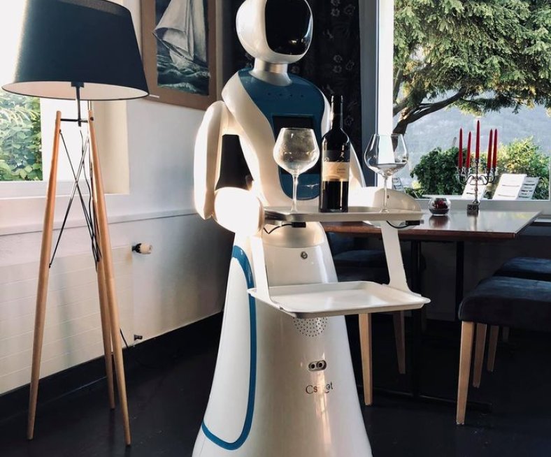Huanita-Roboter.jpg