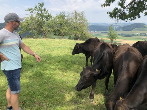 Pistor Kaiserliches Fleisch Zentralschweiz Wagyu Teaser